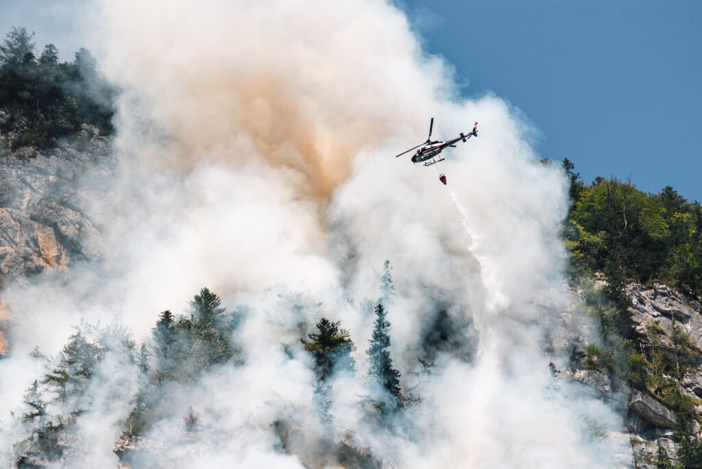 4. Incendios forestales