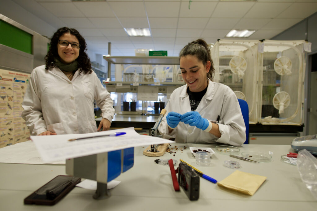 Mujeres, ciencia y bosques